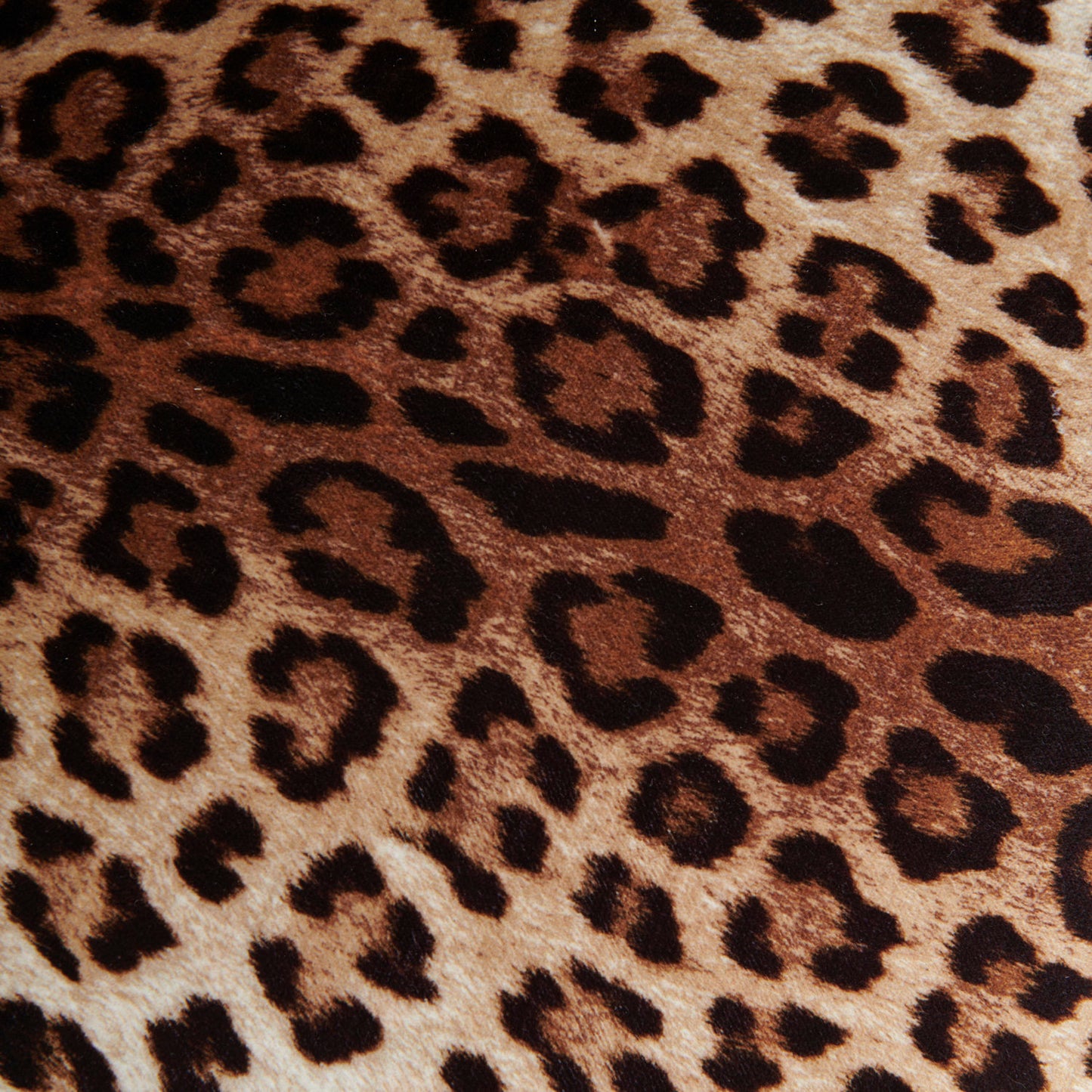Velvet Leopard